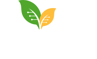 New AG field